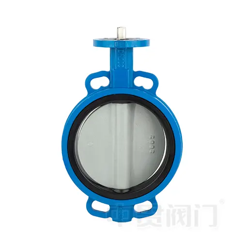 Valve papillon concentrique