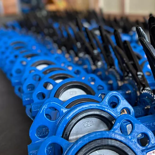 Valve de papillon FKM SEAT