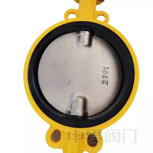 Valve de papillon à conception de la demi-tige